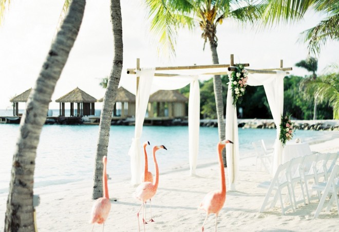 Andreas & Michelle's Destination Wedding in Oranjestad, Aruba