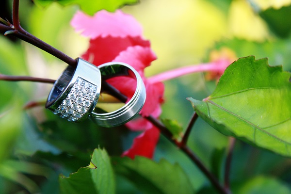 hibiscus flowers and rings