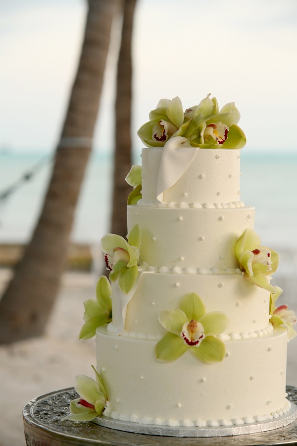 green orchid on cake