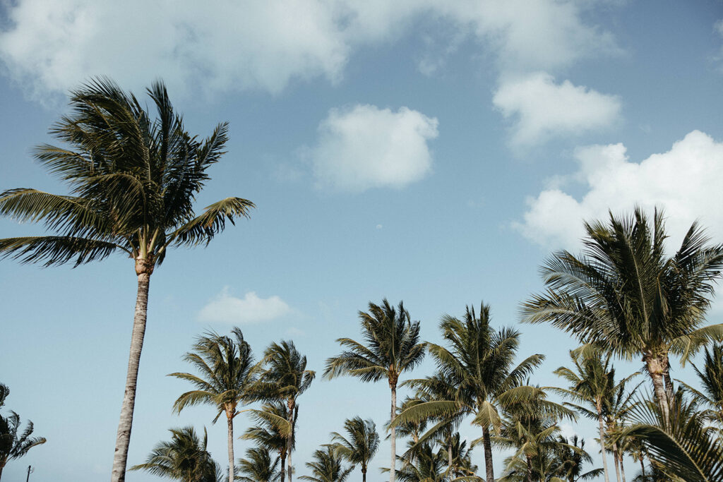 Finest Playa Mujeres Wedding